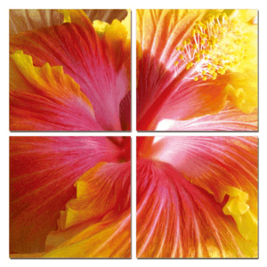 Multicolor Canvas 4 Panels Hibiscus Photo